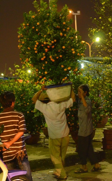 Chọ quát Da Nang e am, vét khách chieu cuoi nam-Hinh-10